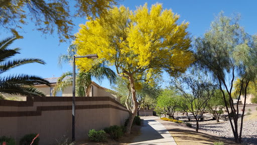 Park «La Paloma Park», reviews and photos, 6579 S Amanda Blvd, Chandler, AZ 85249, USA