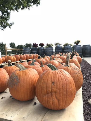 Winery «Heritage Vineyards», reviews and photos, 480 Mullica Hill Rd, Mullica Hill, NJ 08062, USA