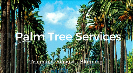 Citywide Tree Service