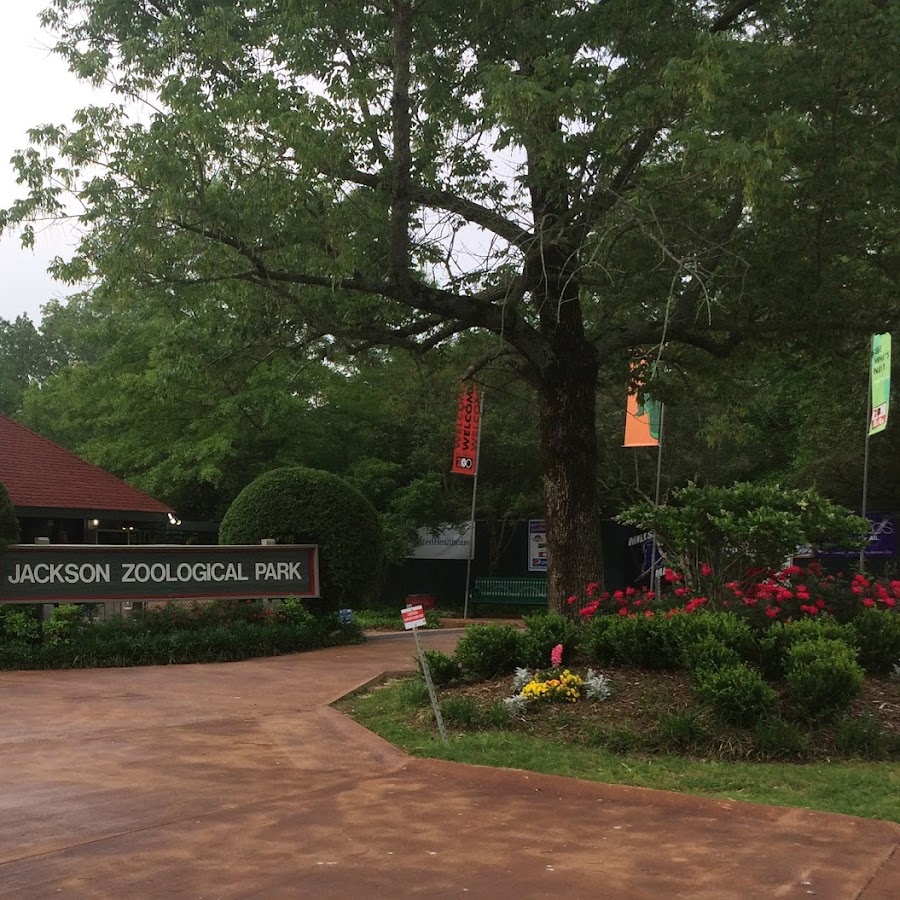 The Jackson Zoo