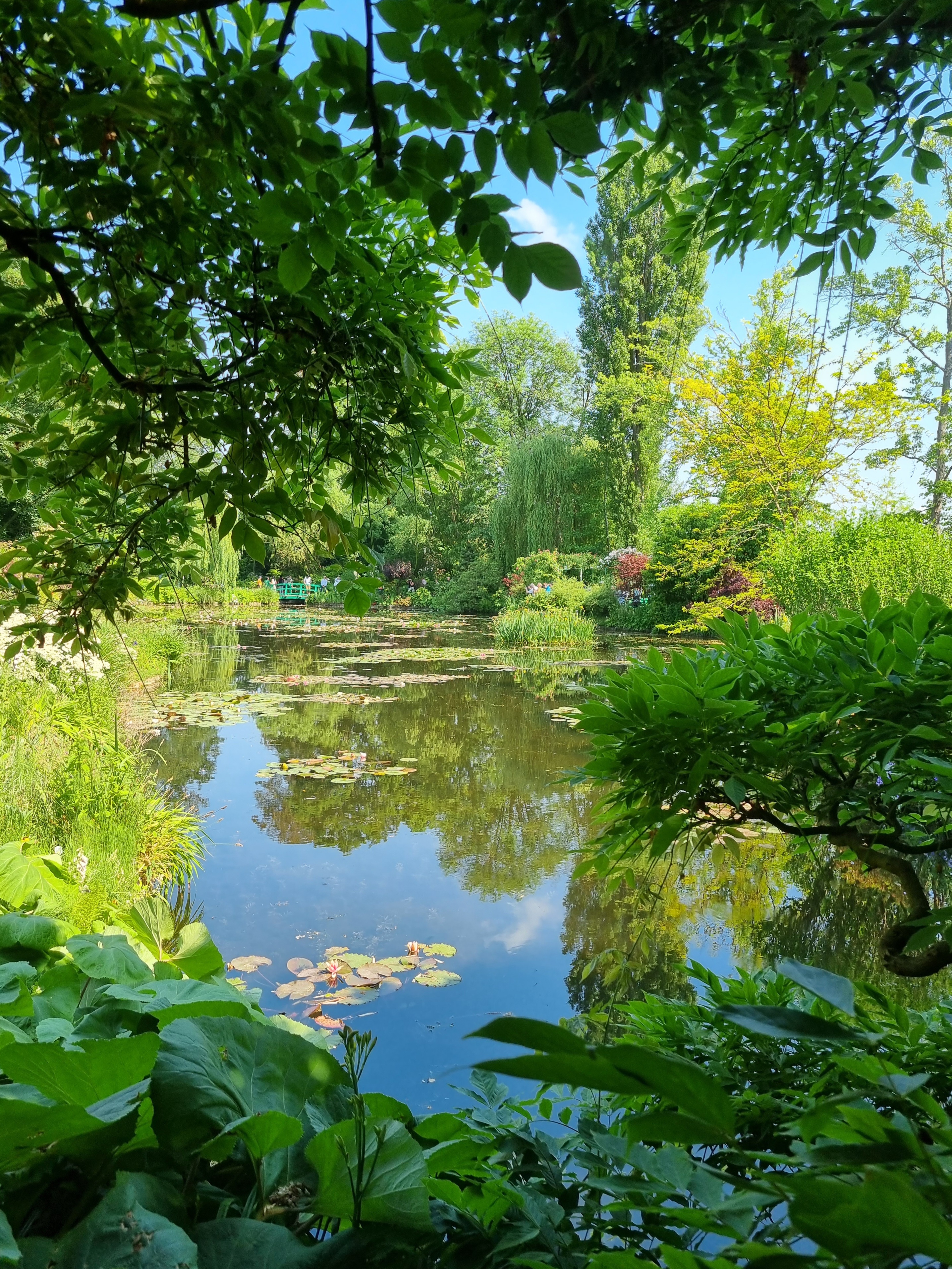 Photo n° 6 de l'avis de Sabine.o fait le 13/06/2023 à 19:16