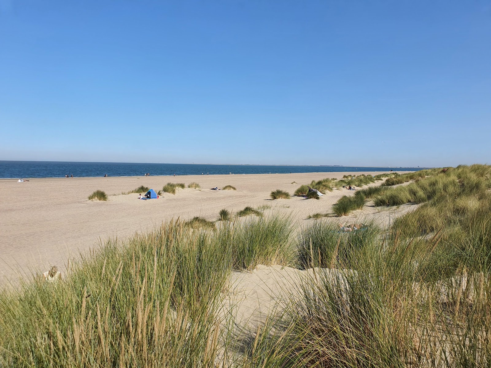 Foto van Renesse beach met grote baaien