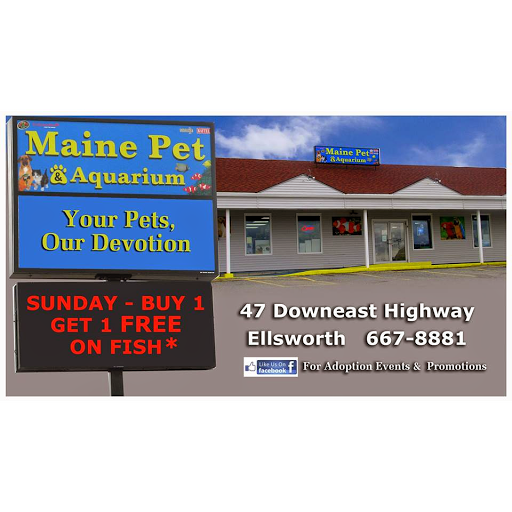 Pet Store «Maine Pet & Aquarium», reviews and photos, 47 Downeast Hwy