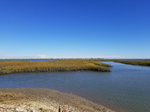 Park «Morse Park Landing», reviews and photos, 4939 US-17 BUS, Murrells Inlet, SC 29576, USA