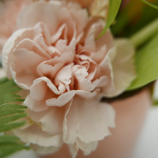 Florist «Fleur de Lis Fresh Flowers», reviews and photos, 516 Selby Ave, St Paul, MN 55102, USA