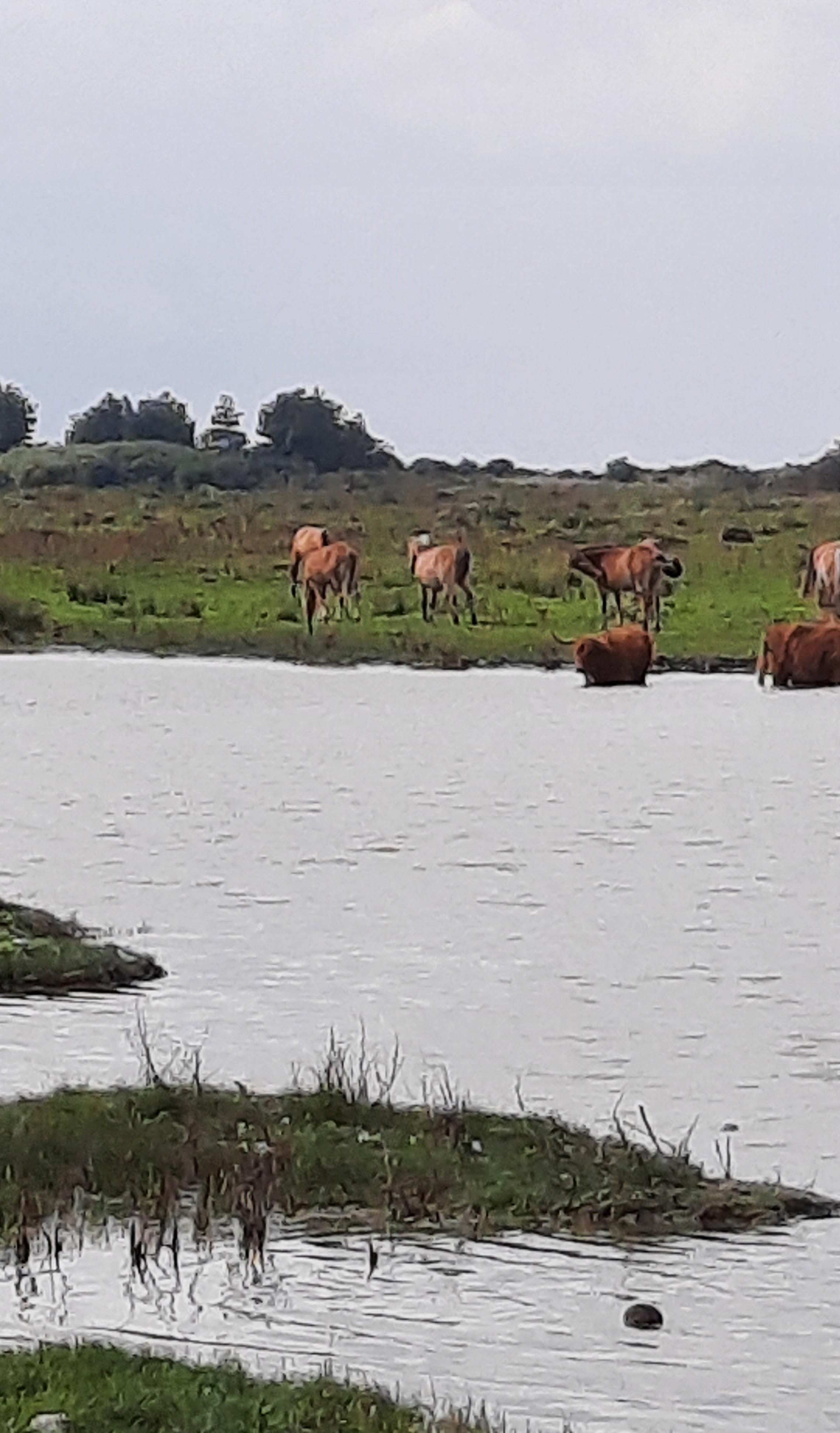 Photo n° 2 de l'avis de Marie.a fait le 17/09/2021 à 16:12