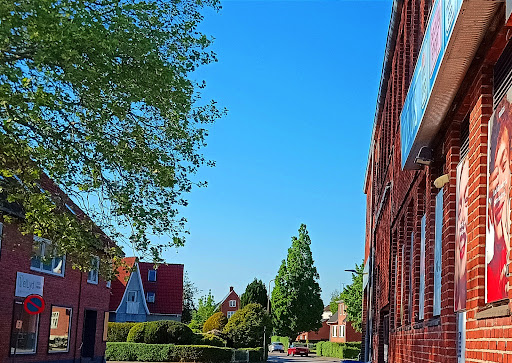 Katdoktor in Aalborg, Aalborg