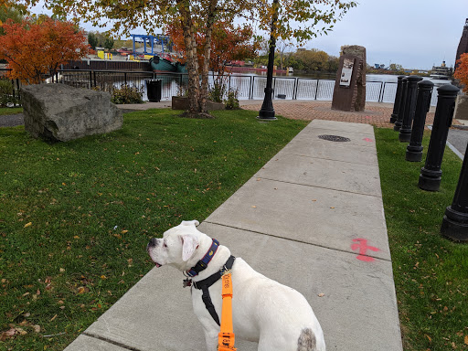 Park «Mutual Riverfront Park», reviews and photos, 41 Hamburg St, Buffalo, NY 14204, USA