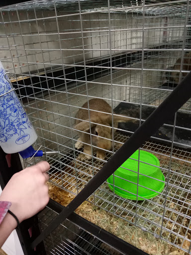 Shopping Mall «Crystal River Mall», reviews and photos, 1801 US-19, Crystal River, FL 34428, USA