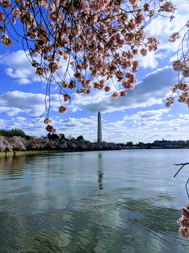 Monument «Washington Monument», reviews and photos, 2 15th St NW, Washington, DC 20024, USA