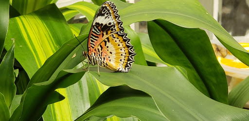 Museum «Delaware Agricultural Museum», reviews and photos, 866 N Dupont Hwy, Dover, DE 19901, USA