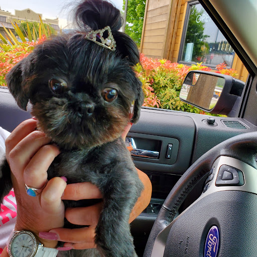 Pet Supply Store «Mud Bay», reviews and photos, 15105 Main St E, Sumner, WA 98390, USA