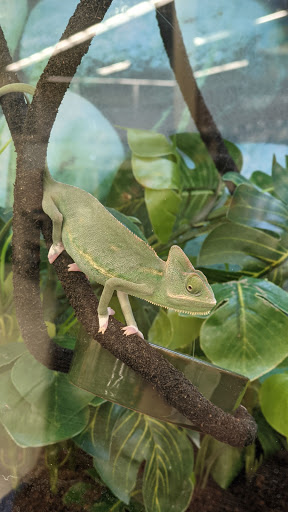 Pet Supply Store «Petco Animal Supplies», reviews and photos, 1231 Bruce B Downs Blvd, Wesley Chapel, FL 33543, USA