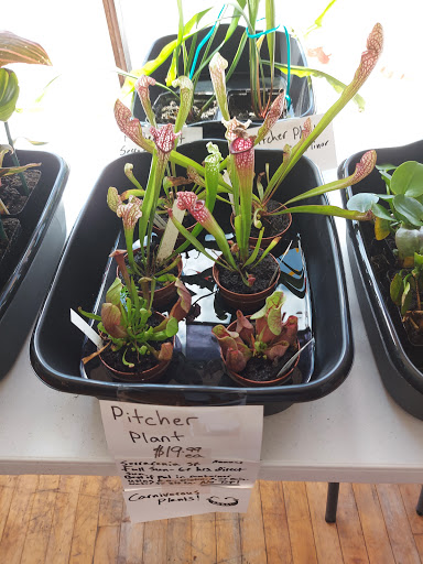 Tropical Fish Store «Tropi-Quatics Pet Center», reviews and photos, 337 S Main St, Lombard, IL 60148, USA