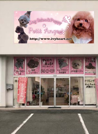 プティアンジュ八女店