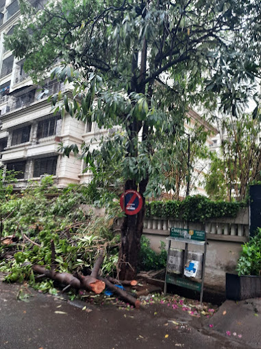 Google Maps image 34