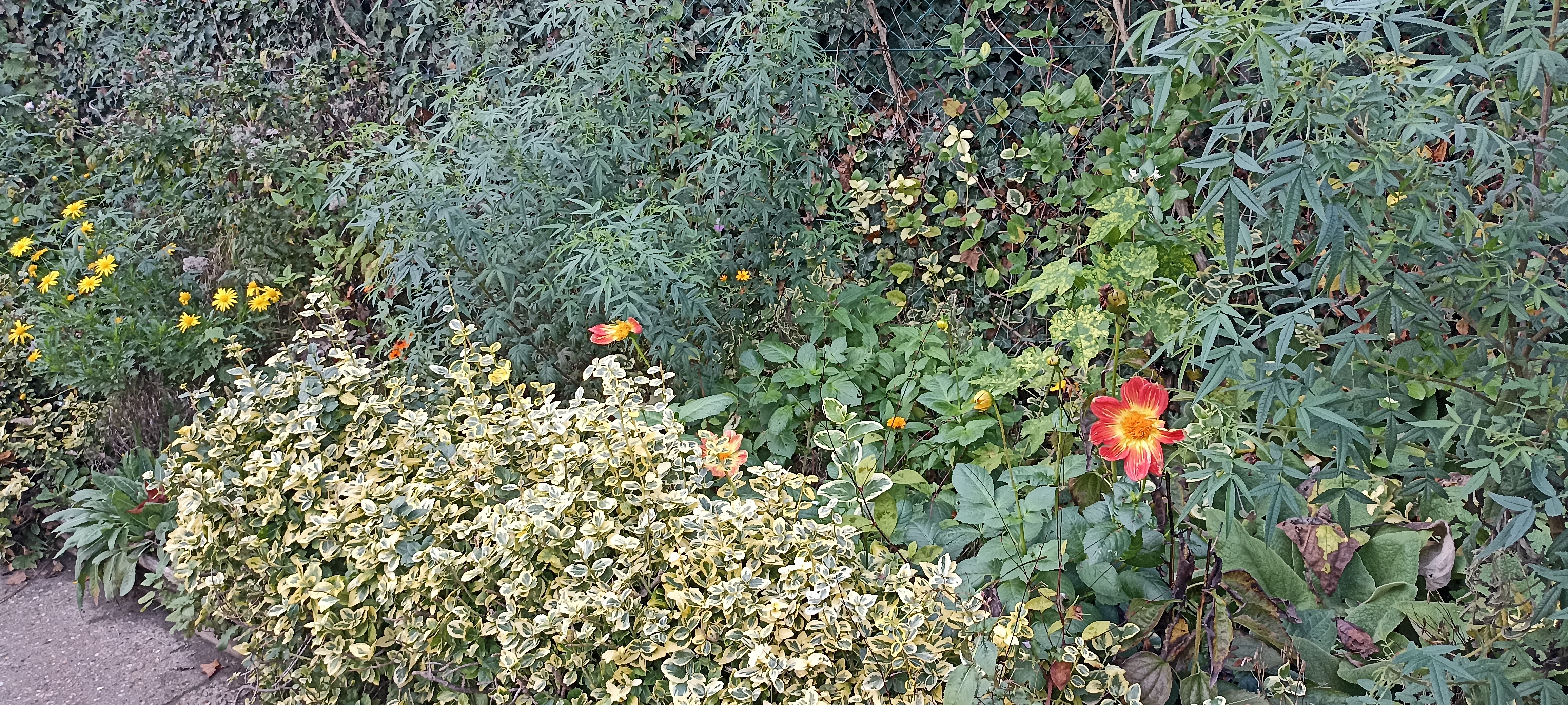 Photo n° 7 de l'avis de Verginia.H fait le 01/11/2022 à 18:08