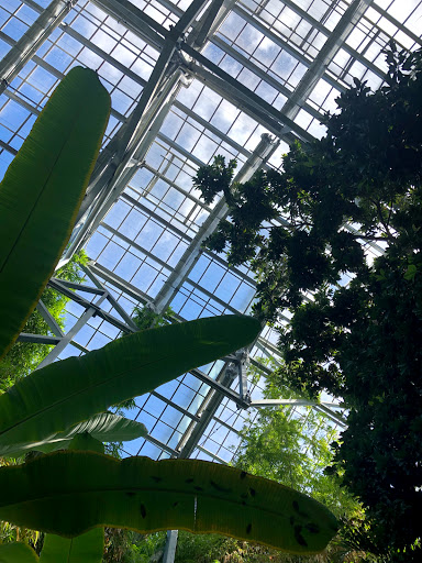 Gift Shop «Meijer Gardens Gift Shop», reviews and photos, 1000 E Beltline Ave NE, Grand Rapids, MI 49525, USA