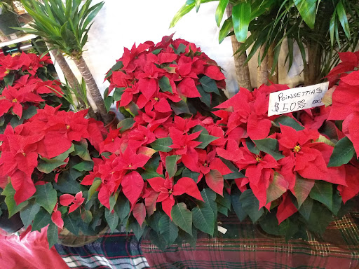 Florist «Sunshine Florist Inc.», reviews and photos, 946 1st Avenue, New York, NY 10022, USA