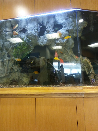 Nissan Dealer «Eden Prairie Nissan», reviews and photos, 12790 Plaza Dr, Eden Prairie, MN 55344, USA