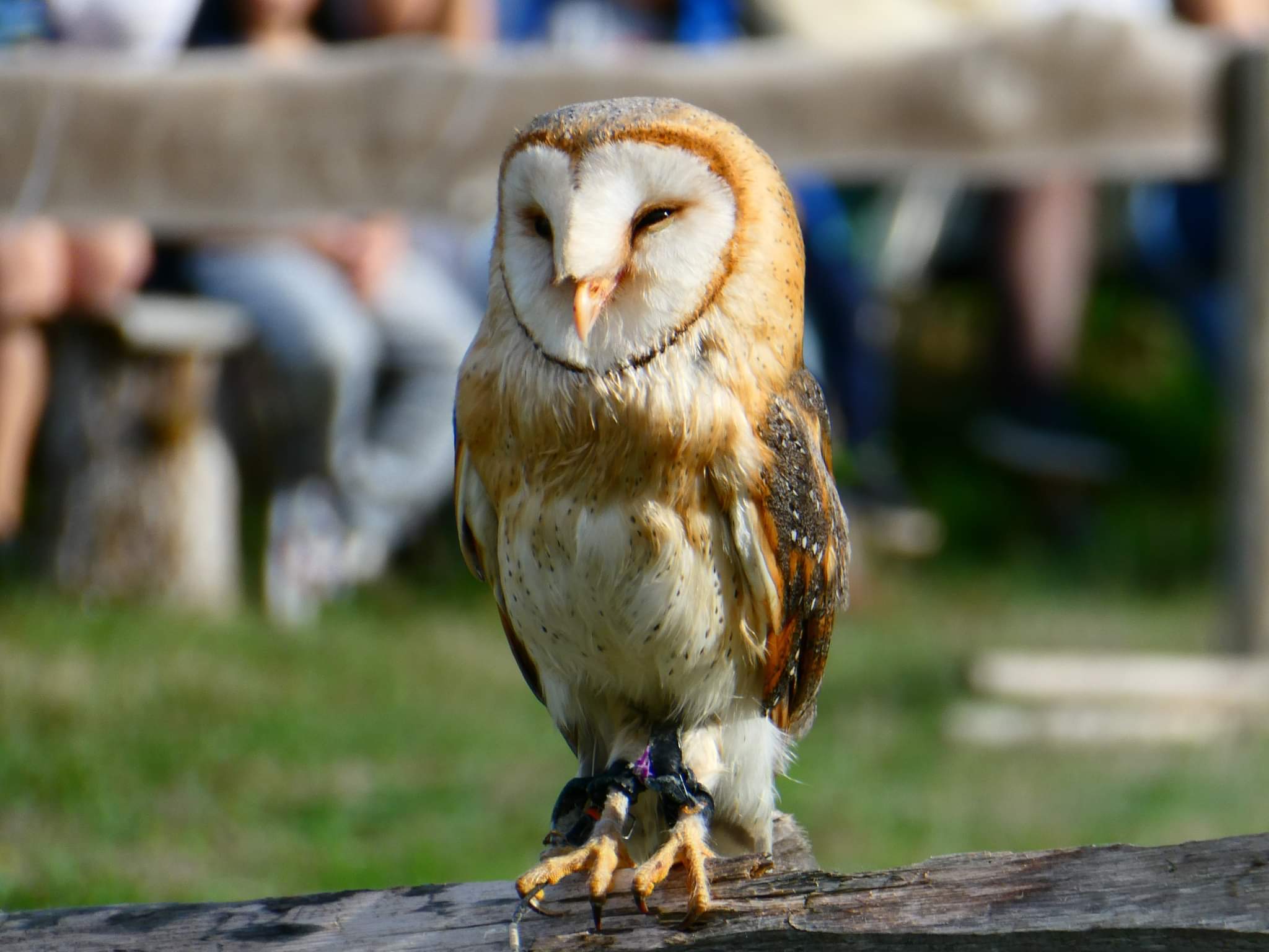 Photo n° 8 de l'avis de flo.g fait le 20/08/2022 à 16:30