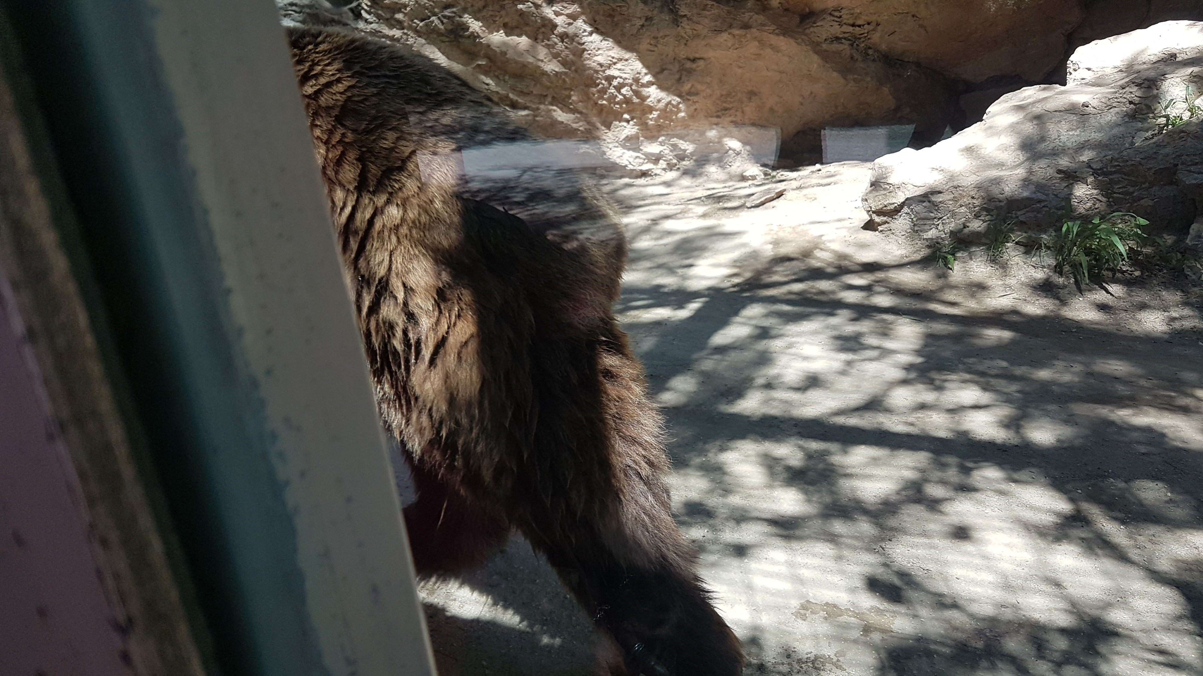 Photo n° 40 de l'avis de Dominique.A fait le 05/08/2017 à 15:53