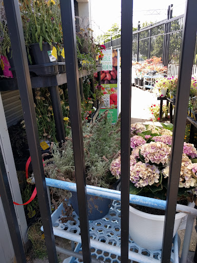 Tire Shop «Walmart Tires & Auto Parts», reviews and photos, 321 NE Kings Valley Hwy, Dallas, OR 97338, USA