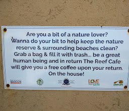 The Reef Café photo