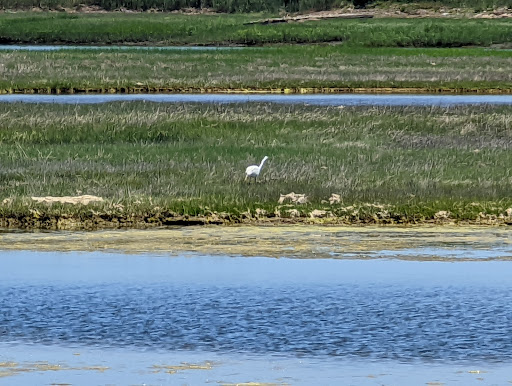 State Park «Belle Isle Marsh Reservation», reviews and photos, Bennington St, East Boston, MA 02128, USA