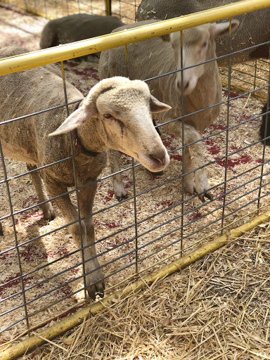 Museum «Queens County Farm Museum», reviews and photos, 73-50 Little Neck Pkwy, Queens, NY 11004, USA