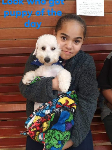 Pet Supply Store «North Tampa PET DEPOT», reviews and photos, 16033 Tampa Palms Blvd W, Tampa, FL 33647, USA