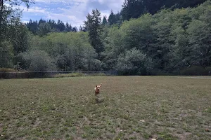 Lake Padden Dog Park image