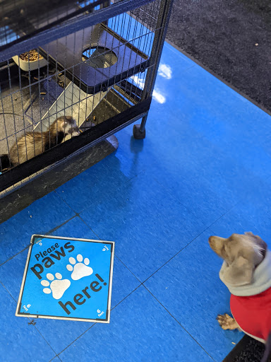 Pet Supply Store «Pet Supplies Plus», reviews and photos, 19295 West Rd, Woodhaven, MI 48183, USA