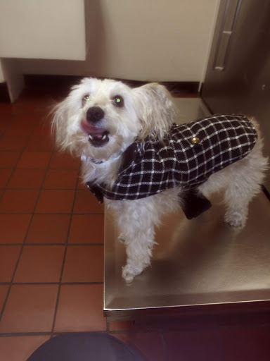 Diamond Hill Animal Clinic image