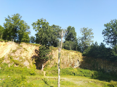 Marbrière d'Ardin à Ardin