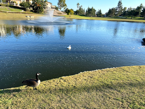 Public Golf Course «Tustin Ranch Golf Club», reviews and photos, 12442 Tustin Ranch, Tustin, CA 92782, USA