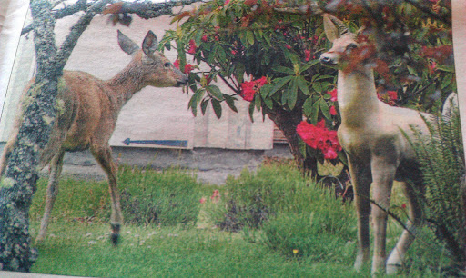 Park «Director Park», reviews and photos, 815 SW Park Ave, Portland, OR 97205, USA