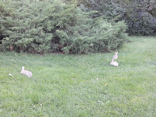 Golf Course «Harvard Gulch Golf Course», reviews and photos, 660 E Iliff Ave, Denver, CO 80210, USA