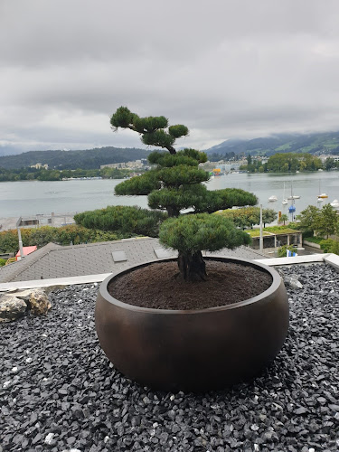 Rezensionen über Josef Burri Gartenbau AG in Luzern - Gartenbauer