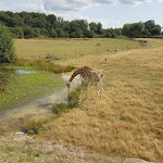 Photo n° 34 de l'avis de Jérémy.E fait le 22/08/2018 à 19:10 pour Parc animalier et botanique & Parcabout de Branféré à Le Guerno