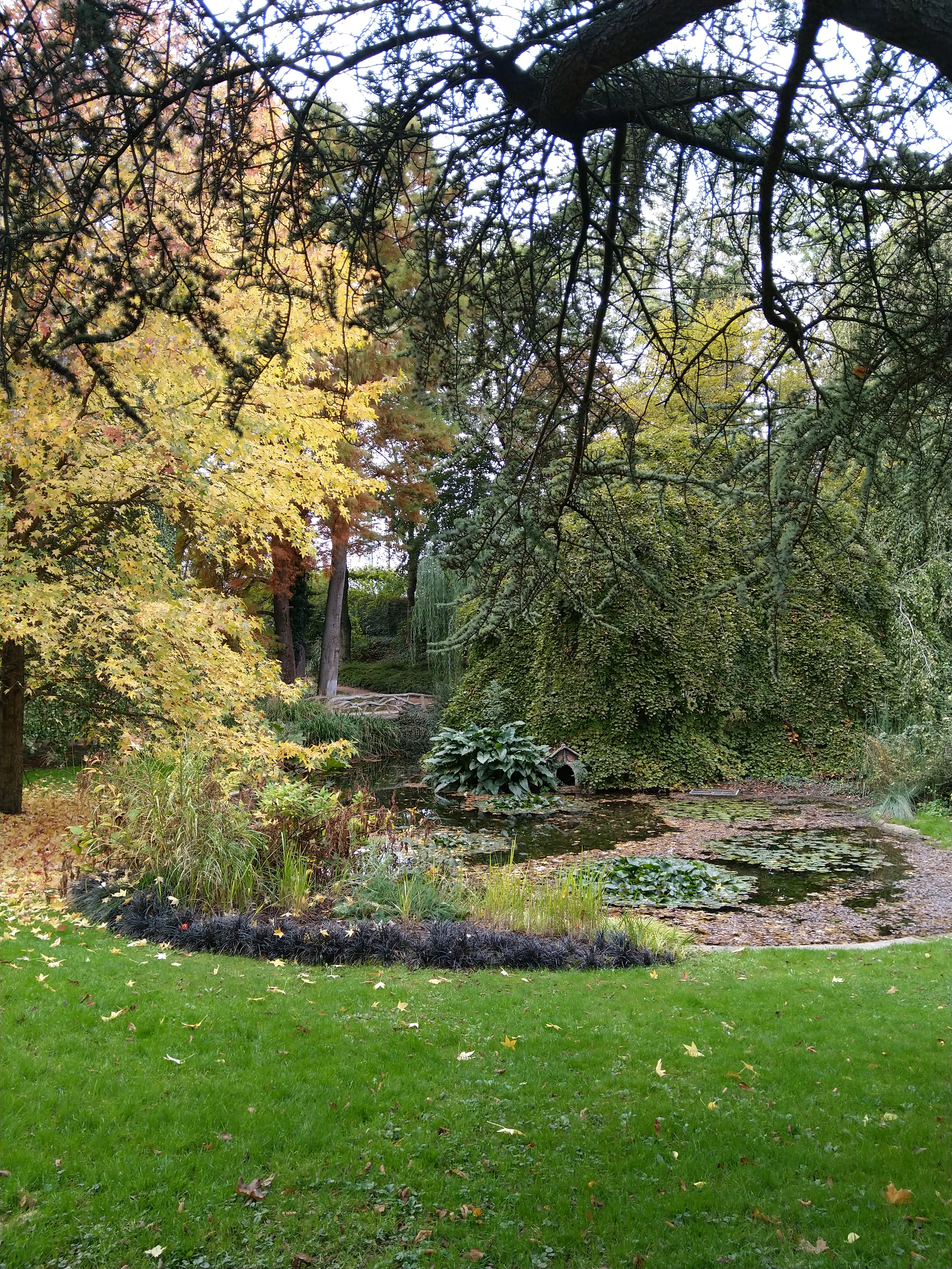Photo n° 8 de l'avis de Marie-Laure.e fait le 30/10/2018 à 09:37