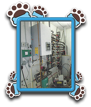 Pet Store «AA Ridgewood Kennels II», reviews and photos, 5401 Lincoln Hwy, Gap, PA 17527, USA