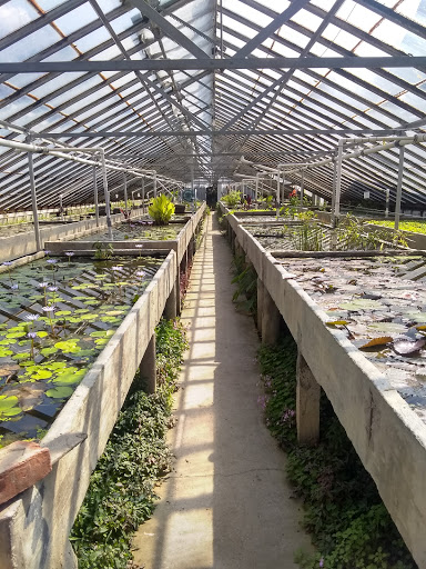 Tropical Fish Store «William Tricker Inc», reviews and photos, 7125 Tanglewood Dr, Cleveland, OH 44131, USA