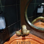 Photo n°1 de l'avis de Catseyes. fait le 03/06/2019 à 05:22 sur le  Bar Turrisi à Castelmola