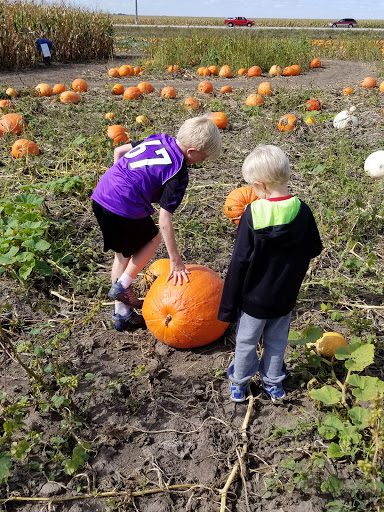 Pumpkin Patch «Barts Farm and Pumpkin Patch», reviews and photos, 7307 Alburnett Rd, Marion, IA 52302, USA