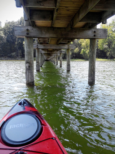 State Park «Long Hunter State Park», reviews and photos, 2910 Hobson Pike, Hermitage, TN 37076, USA