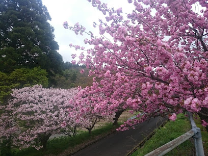 大内山村広場