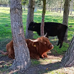 Photo n°3 de l'avis de Frau.u fait le 11/09/2023 à 14:07 sur le  See- und Waldresort Gröbern à Muldestausee