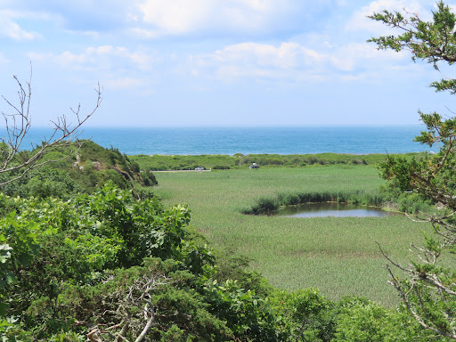 Nature Preserve «Norman Bird Sanctuary», reviews and photos, 583 3rd Beach Rd, Middletown, RI 02842, USA