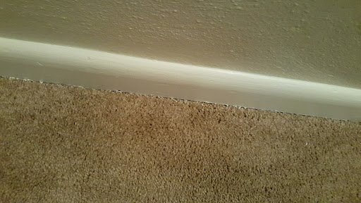 Painter «Master Painters», reviews and photos, 4124 Windsor Gate Pl, Virginia Beach, VA 23452, USA